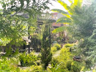 Mộc Homestay - Mộc Châu - 8