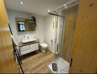 Beautiful Swiss Alps Apartment - 6