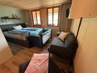 Beautiful Swiss Alps Apartment - 2