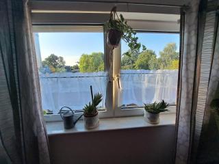 Gemütliches Zimmer - 2