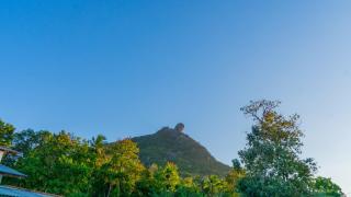 Green House Bungalow - 5