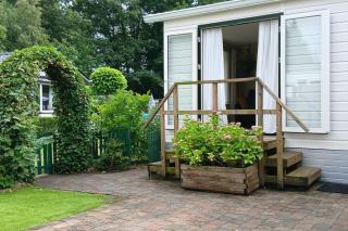 Chalet LUSH in Drenthe - 8