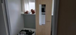 Chalet LUSH in Drenthe - 1