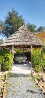 Irwina Resort Pushkar- Rustic Rajasthan Retreat - 3