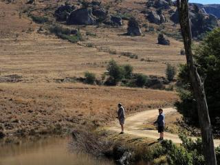 Buffalo Hills Private Game Reserve - 2