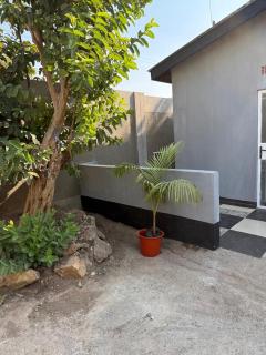 Zee-lijah Apartments - 5