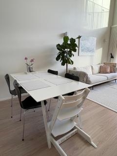 Arctic riverside design apartment - 9