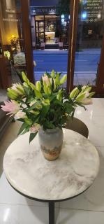 Havana Homestay - 3