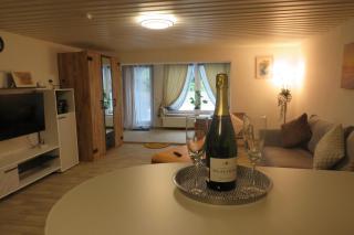 Große Ferienwohnung mit Terrassenzugang - 0