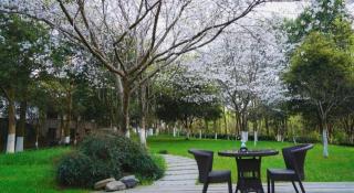 Jinxi Hotel Hangzhou - Hangzhou - 6