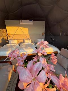 Sunset Domes Premium - Bidiyah - 7