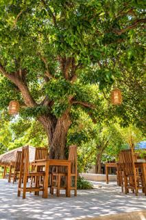 Mila Guest house - 1