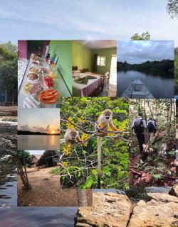Amazonas Eco Tour - Private Jungle Tour, River Tour or Great Adventure TOUR INCLUDED ONLY IN DELUXE ROOMS - 1