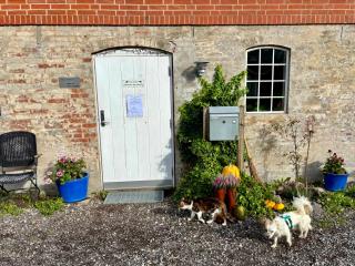 Stald Nordkap Farmstay Bed&Breakfast - Bindslev - 7