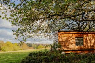 Woodland Retreat with views, 11 acres Surrey Hills - 9