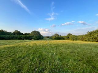 Woodland Retreat with views, 11 acres Surrey Hills - 5