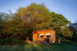 Woodland Retreat with views, 11 acres Surrey Hills - 7