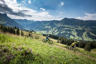 Modern Country Home - Entlebuch - 4