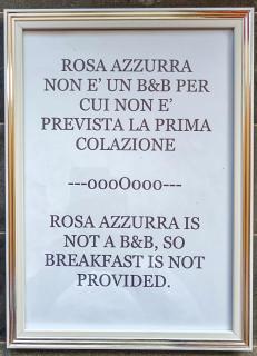 Rosa azzurra - Casamassima - 8