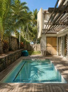 Blue Zebra - Villa Tourteau - Piscine, plage - 7