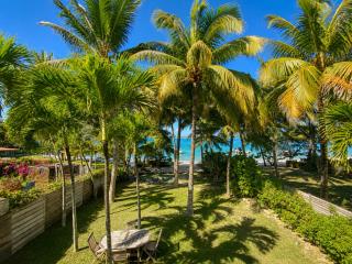 Blue Zebra - Villa Tourteau - Piscine, plage - 6
