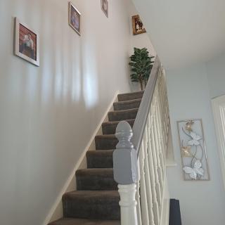 Seville Grove - 9
