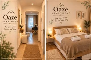 Oaze - 1