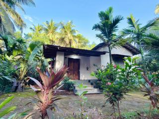 Casa Blue Palms - 0