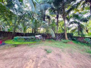 Casa Blue Palms - 9