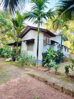 Casa Blue Palms - 4