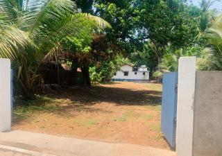 Casa Blue Palms - 2