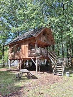 Wooden Lodge - Boomhut op d'n Mastendol - Rijen, Brabant - 0