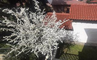 The Garden House - 4