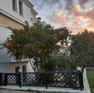 The Garden House - 3