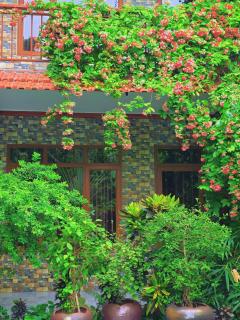 Ninh Binh Kong's Homestay - 9