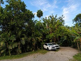 El Tucan Feliz - Boho Jungle Tiny Guest House With Private Mini Pool Oasis, AC, & Playa Cocles - Cocles - 1