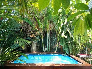 El Tucan Feliz - Boho Jungle Tiny Guest House With Private Mini Pool Oasis, AC, & Playa Cocles - Cocles - 9