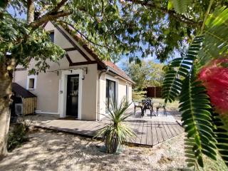 L'Albizia Gîte Climatisé St Maurice - 3