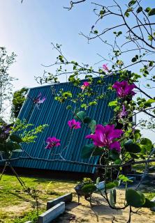 Ruhunu Maya Nature Resort - 1