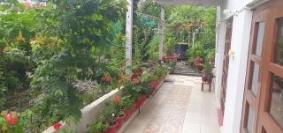 Lumbini Homestay, Pithoragarh - 8