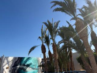 Moon Valley - 7