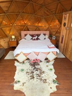 Glamping Raices del Casique - 2