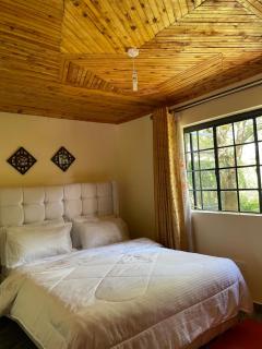 Cozy Garden Guesthouse - Muthaiga Gem - 4