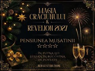Pensiunea Mușatinii - 0