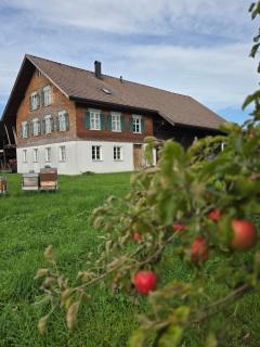Apartment in der Apfelwiese - 8