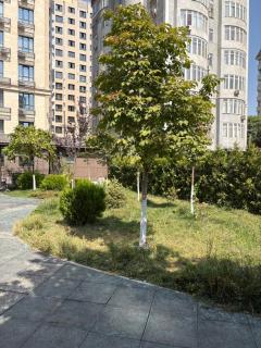 ЖК Арбат - 7