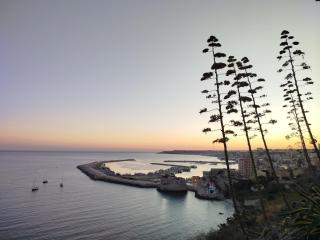 Urlaub auf dem Bauernhof - Casa Sa Bella - 1