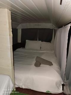 Genting Greenwoods Tiny Houses & Events Hall - 5