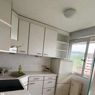 Entire flat close to Basel with stunning view - 0