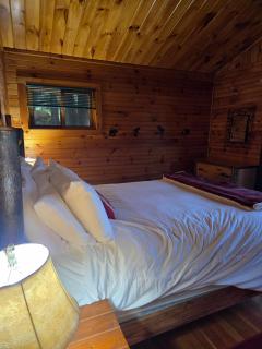 Baker Cabin at Colden Lodge - 8